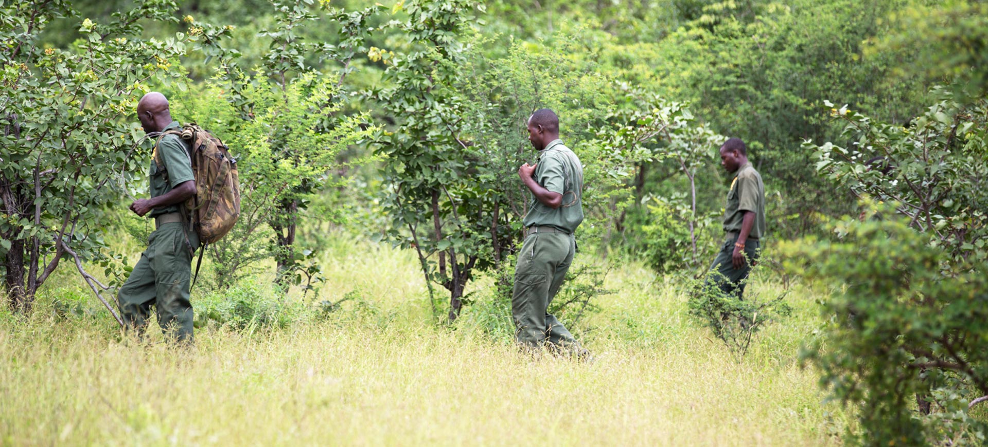 Wildlife Conservation Safari