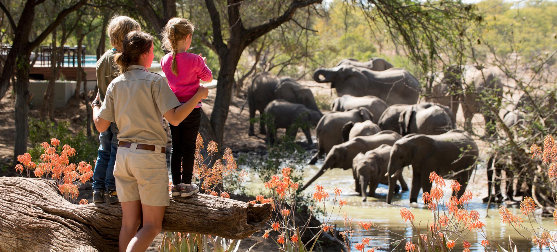 Kruger Ngala Lodge