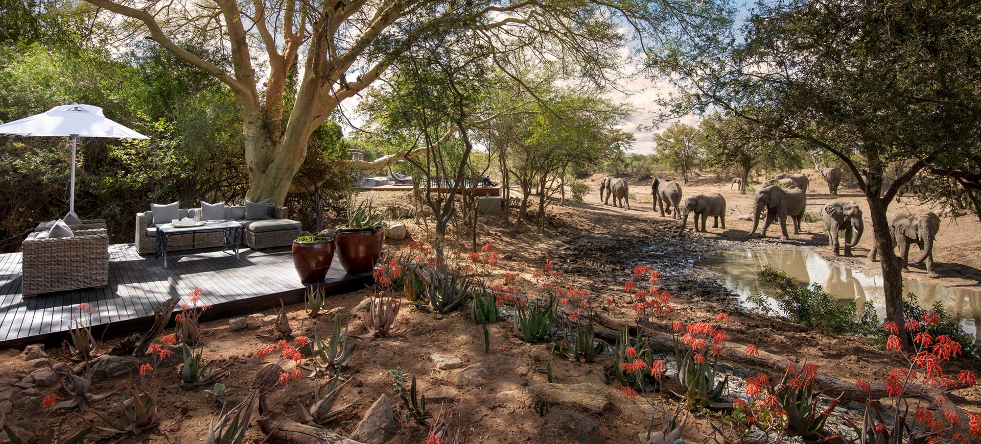 Ngala Safari Lodge Kruger Park
