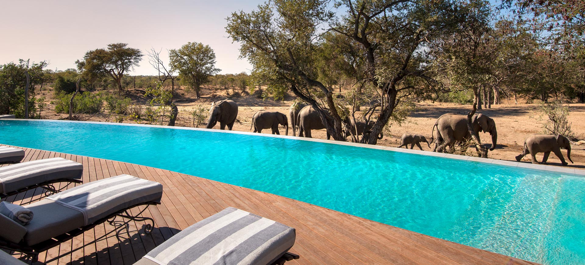 Ngala Safari Lodge Kruger